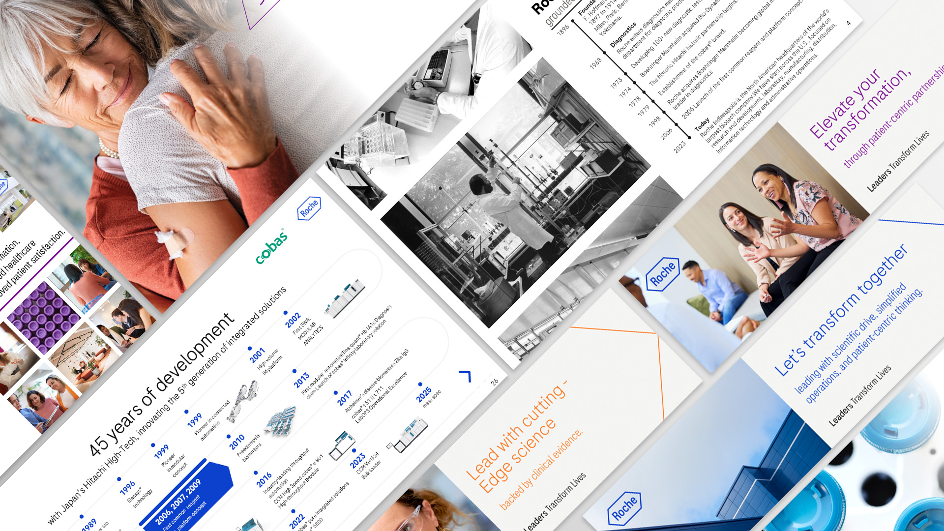 Roche Core Lab presentation system with icons and visual frameworks